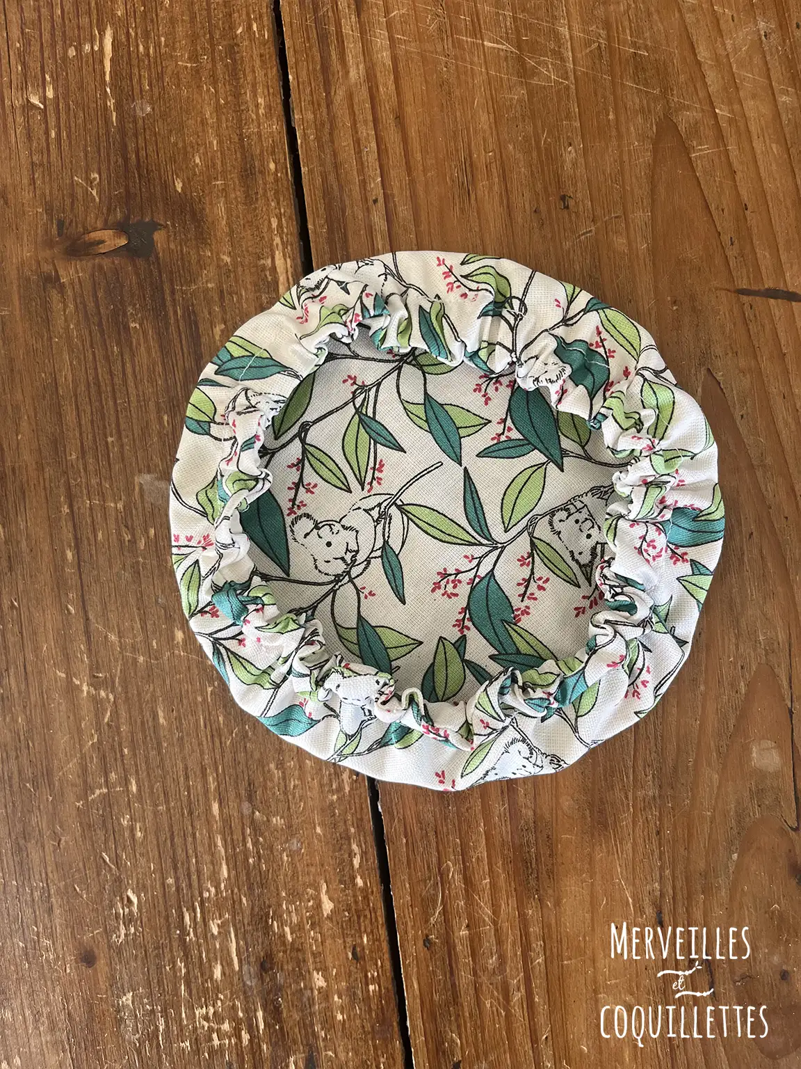 charlotte koala 2_Merveilles et coquillettes