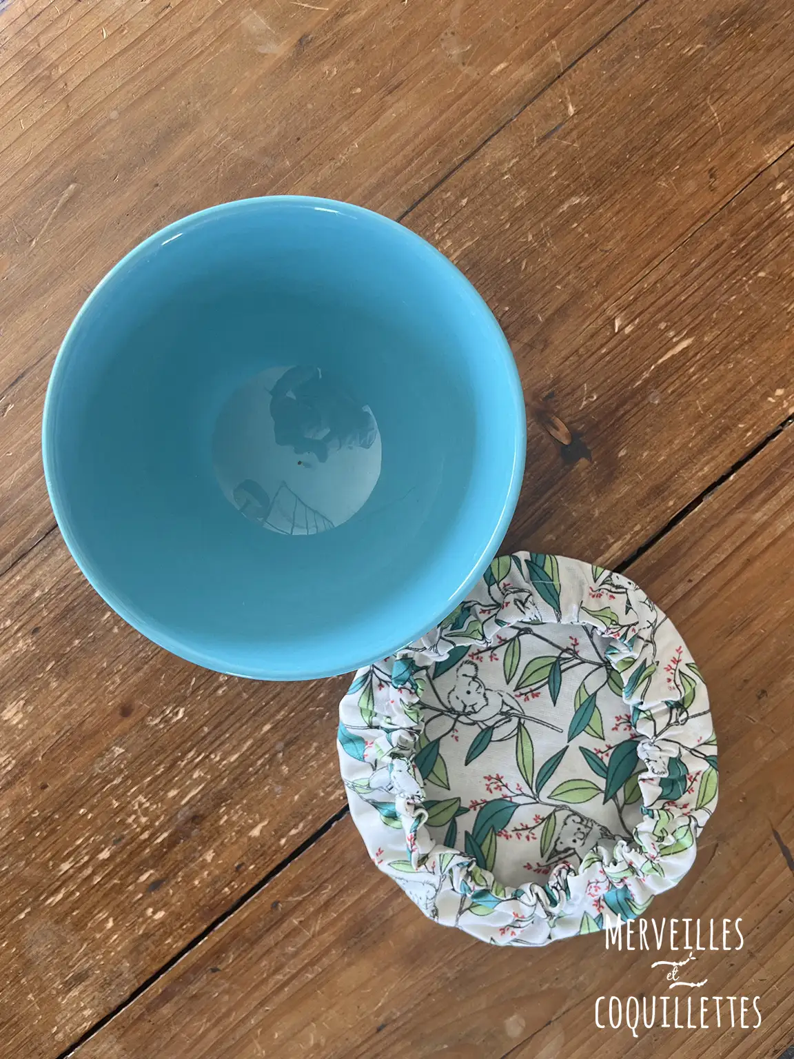 charlotte koala 3_Merveilles et coquillettes