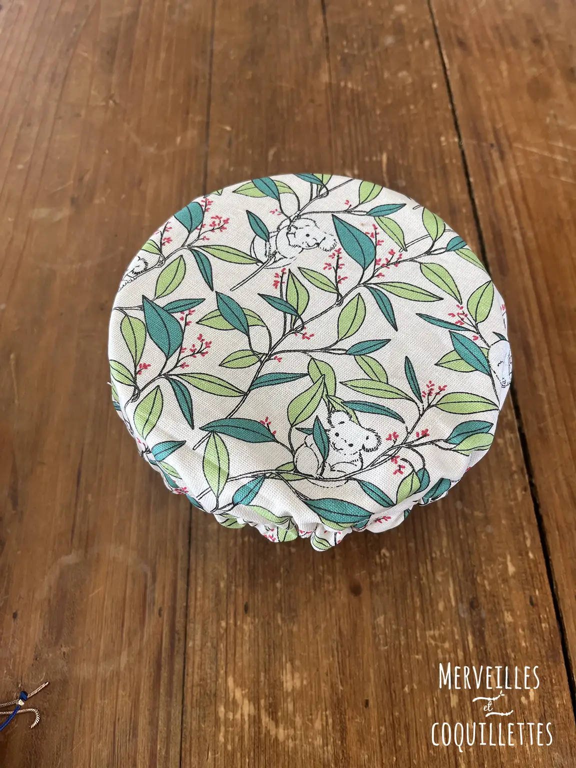 charlotte koala 6_Merveilles et coquillettes