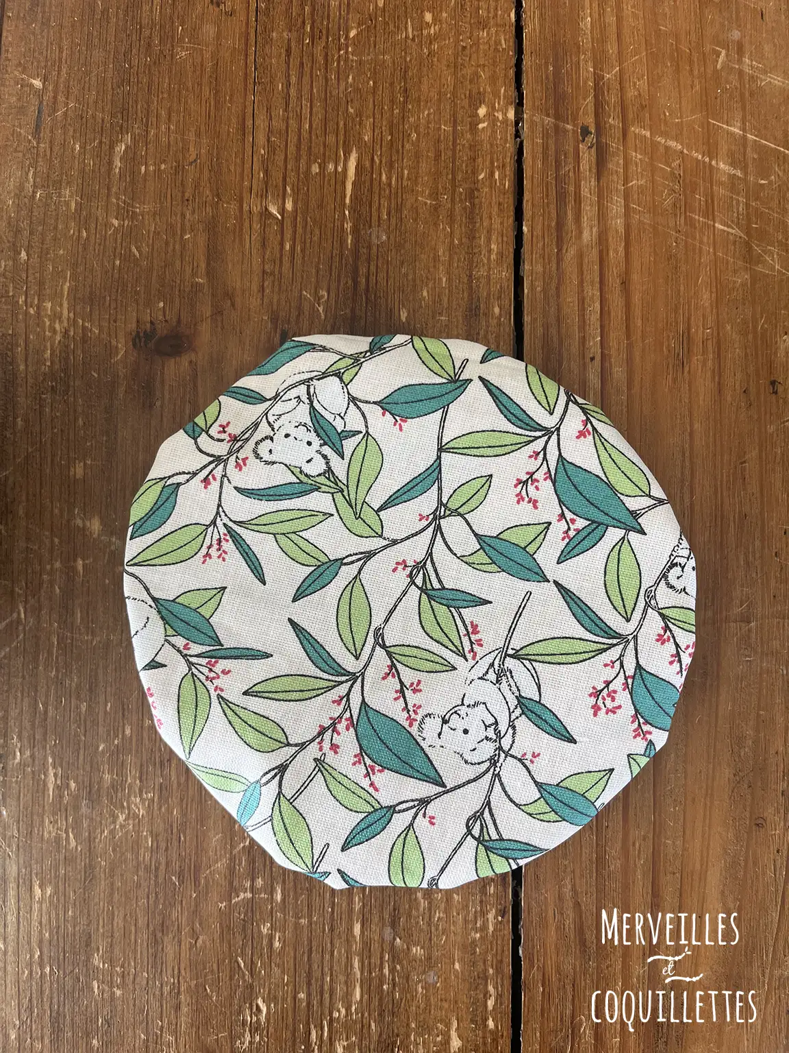 charlotte koala_Merveilles et coquillettes