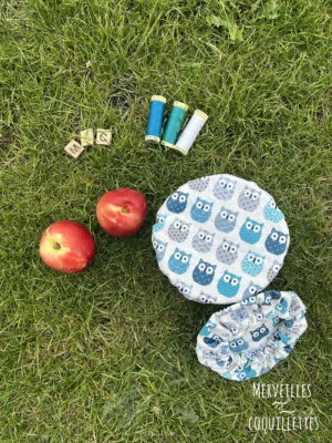 Charlotte zéro déchet - petit format - Hiboux